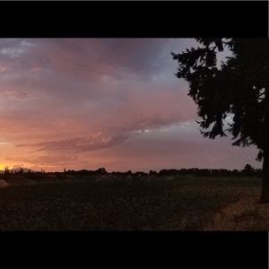 Meet your Posher, Maia